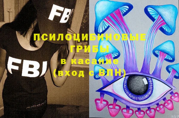 прущая мука Арсеньев