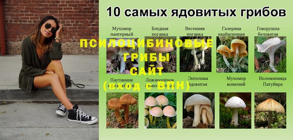 экстази Армянск