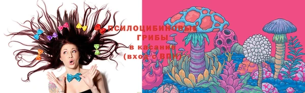 каннабис Аркадак