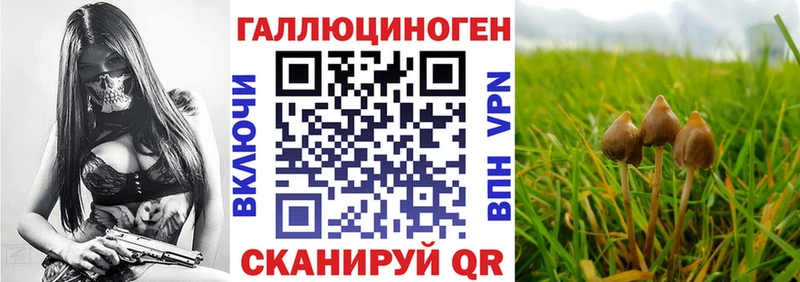 Псилоцибиновые грибы мицелий  Куса 